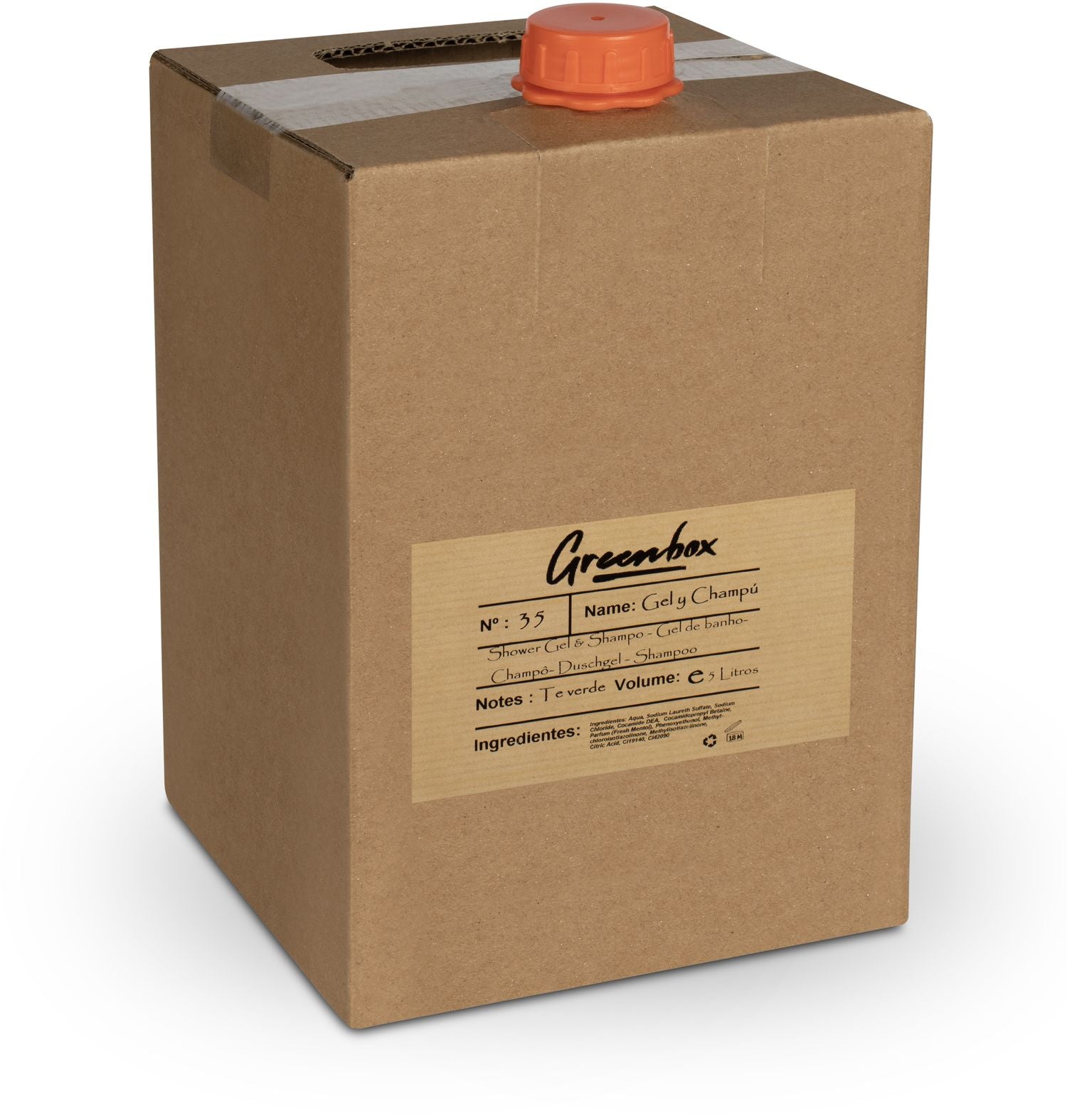 Duschgel & Schampoo 2in1 grüner Tee im Nachfüllbeutel "Bag in Box" 5L