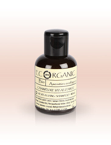 Shampoo Ecorganic Minze 40 ml | 24 Stück