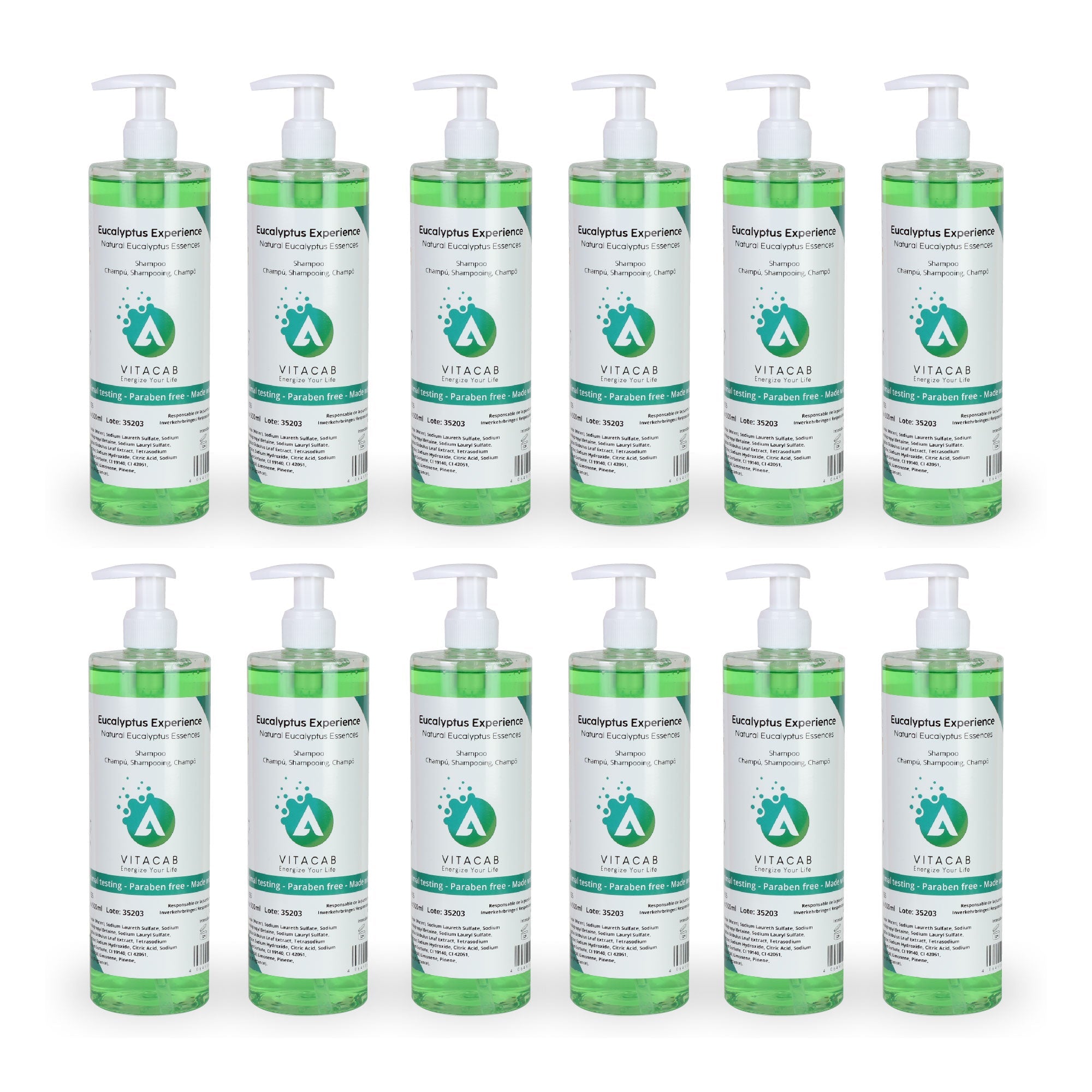 Vitacab - Shampoo Eucalyptus Experience 500 ml | 12 Stück