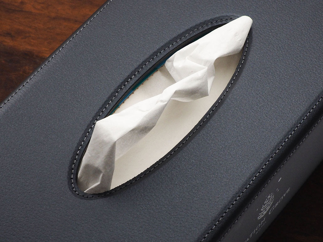 Tissue box 1673319